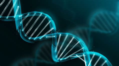 DNA Structure HD Wallpaper | Background Image | 1920x1080 | ID:482896 - Wallpaper Abyss