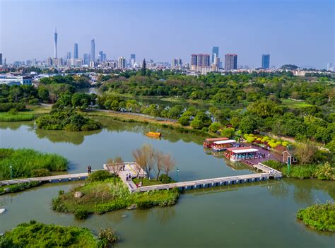 广州海珠国家湿地公园文化活动