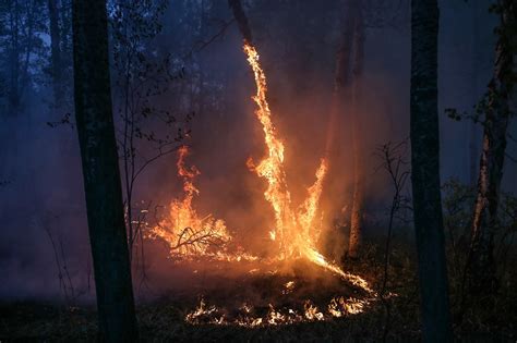 四川森林大火，是我奔赴的第125个山火现场 - 知乎