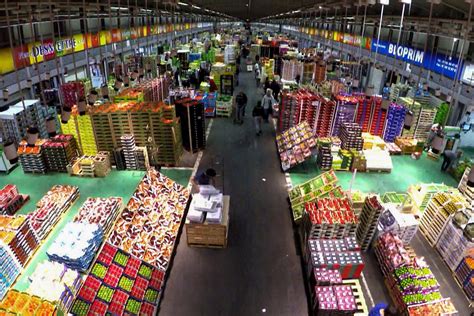 珠海最大水果批发市场,珠海上冲水果批发市场,上海水果批发市场_大山谷图库
