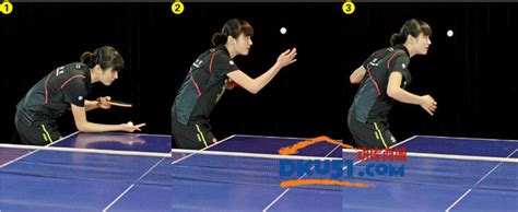 乒乓球发球技术：正手“转不转”发球（图解） - 动库商城