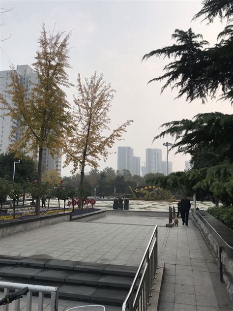 2024文化公园游玩攻略,郑州文化公园位于金水区文化...【去哪儿攻略】