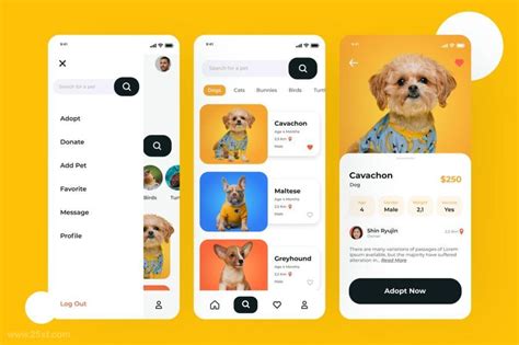 宠物收养领养app应用ui kit界面设计模板-XD素材中文网