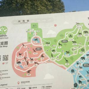 2024红山森林动物园-旅游攻略-门票-地址-问答-游记点评，南京旅游旅游景点推荐-去哪儿攻略
