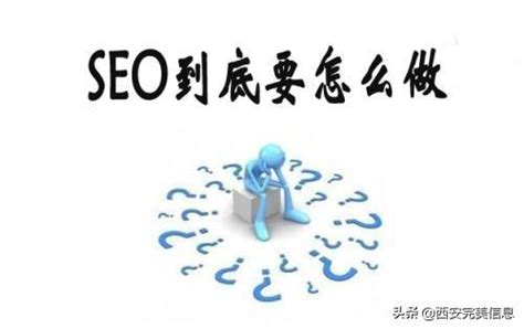 SEO有哪些（怎么做seo搜索排名）-8848SEO
