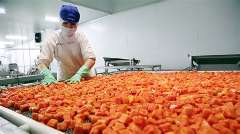 老挝公司大举扩种榴莲，争取2025年前出口到中国 | 国际果蔬报道