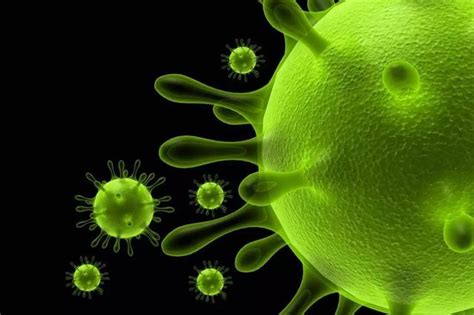 SARS-COV-2如何导致了2019冠状病毒病 以及如何可能阻止它-巨丰财经