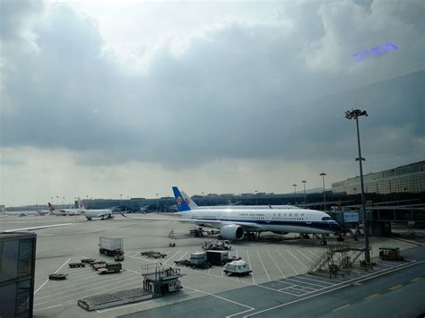 迎进博 上海浦东机场推出62国语言智能翻译机（附图）-空运新闻-锦程物流网