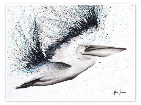 Wandbild „Pelikan“ von Ashvin Harrison | Posterlounge.ch