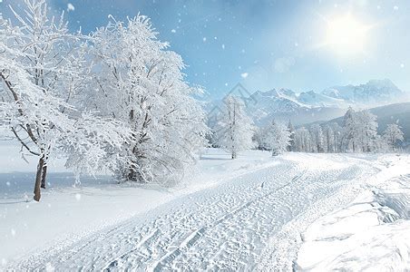 冬林径路图片_冬雪覆盖云杉林和人行道素材_高清图片_摄影照片_寻图免费打包下载