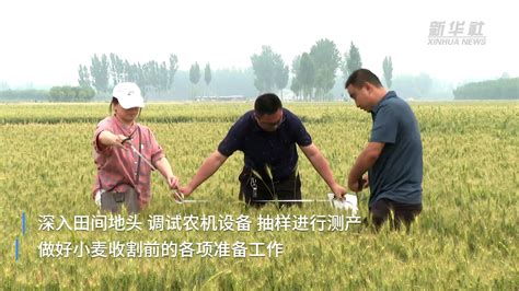 河北易县：农技人员深入田间地头保丰收_凤凰网视频_凤凰网