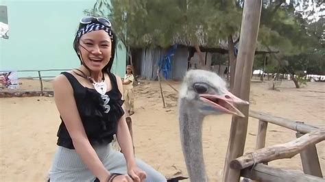 越南美女网红直播骑鸵鸟，镜头前动作夸张看呆了_腾讯视频