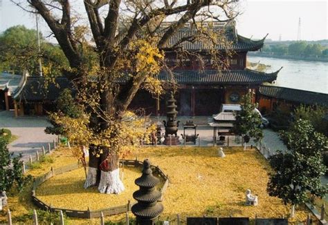 法藏讲寺-市区-上海寺院-佛教导航