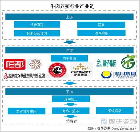 2021年中国生猪养殖产业链上中下游市场剖析（附产业链全景图）-中商情报网