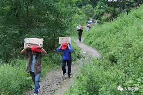 甘肃陇南：贫困村里的“新农民”-人民图片网