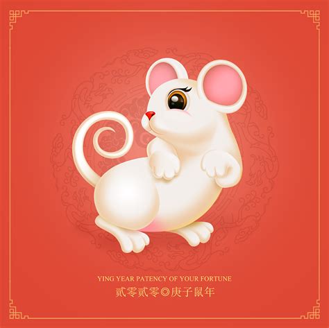 2020卡通鼠年吉祥物设计中国风兔年_young设计工作室-站酷ZCOOL