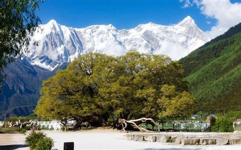 西藏林芝17个著名旅游景点：高原也可以风景如画，美如江南(6)_巴拉排行榜