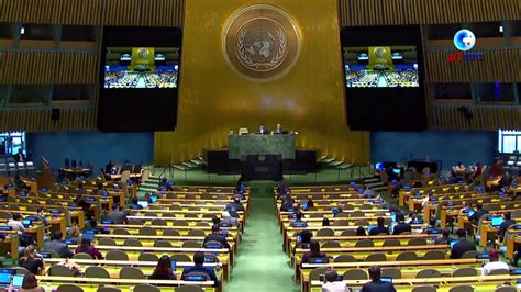 联合国以29票赞成、2票反对无效介入巴以冲突! 黑莉这次完败|联合国|巴以冲突|耶路撒冷_新浪新闻