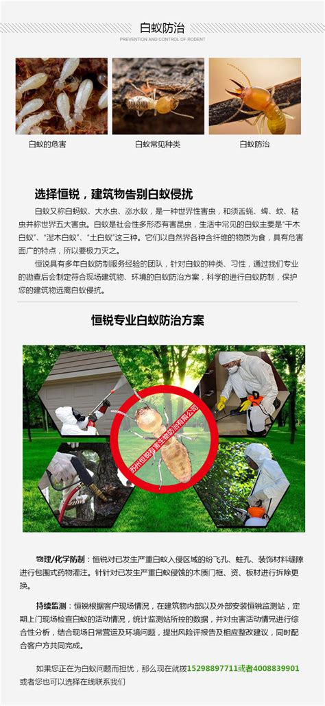 清远专业白蚁防治公司-深圳市虹舟清洁除虫有限公司清远分公司