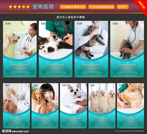 宠物医院官网 宠物企业网站 首页