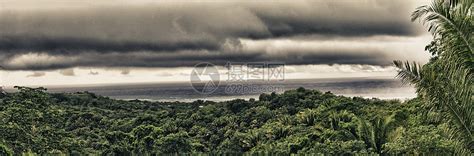 洪都拉斯的植被和自然叶子衬套绿色红树渠道森林白色入口植物群天空高清图片下载-正版图片321223093-摄图网