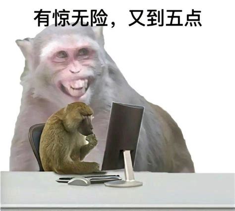 超级有梗的猴子表情包搞笑沙雕图片2023火爆来袭_配图网