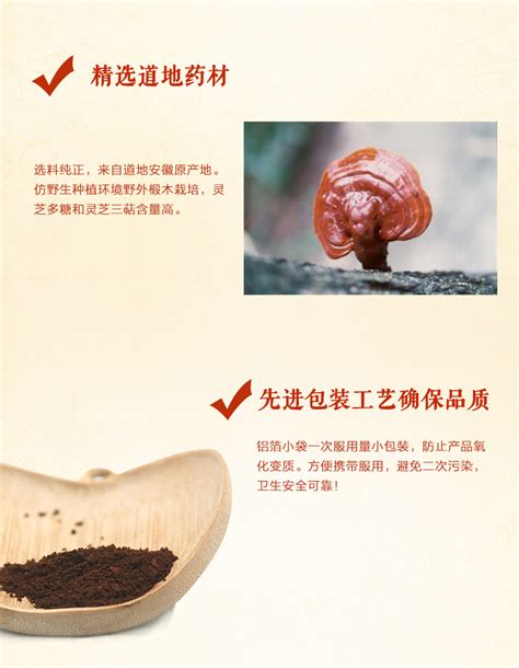 破壁灵芝孢子粉胶囊自用装 - 广州市众享生物科技有限公司官方网站