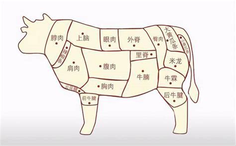 行家买牛肉，专门挑选这6个部位，肉摊贩子：一看就是内行人-搜狐大视野-搜狐新闻