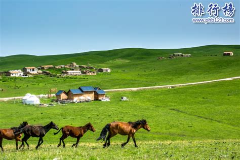 新疆十大旅游风景名胜区排行榜-新疆有什么风景名胜区-排行榜123网