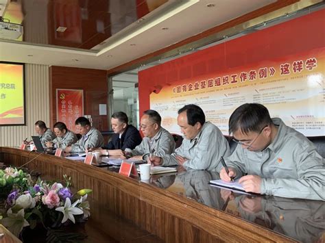 中国钢铁工业协会与东北大学交流会举行-冶金工业出版社