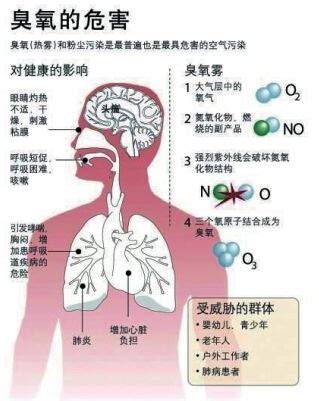 中国城市臭氧污染危害超PM2.5,儿童成最危险受害者 - 广州极端科技有限公司