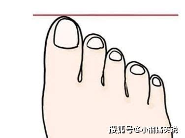 小脚趾复趾 科学解释小脚趾甲两瓣_华夏智能网
