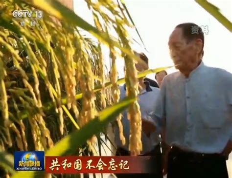 袁隆平：改造1亿亩盐碱地种水稻，每年能多养活8000多万人口_国内新闻_湖南红网新闻频道
