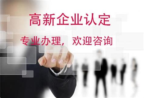 天津市高新技术企业认定申请表_word文档在线阅读与下载_免费文档