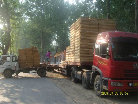 我国木材供求现阶段主要问题有望得到解决【批木网】 - 木业头条 - 批木网