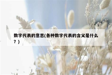 【YY日记】第172期 2017-12-13 “12”这个奇妙的数字_叶云官网-站酷ZCOOL