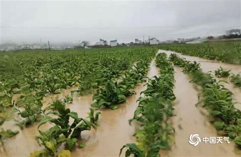 云南强降雨已造成14人死亡2人失踪 超万人受灾__凤凰网