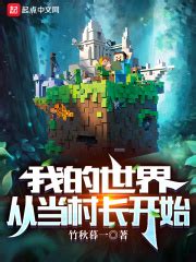我的世界从当村长开始_第一章 优秀的游戏在线免费阅读-起点中文网