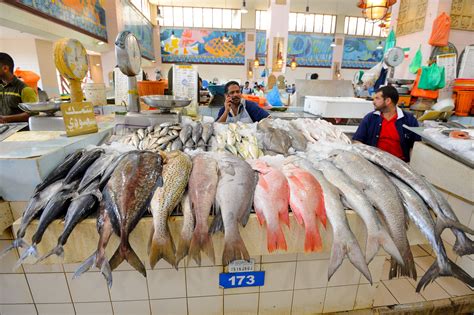 银鳕鱼多少钱一斤市场价（淡水银鳕鱼多少钱一斤） | 商梦号