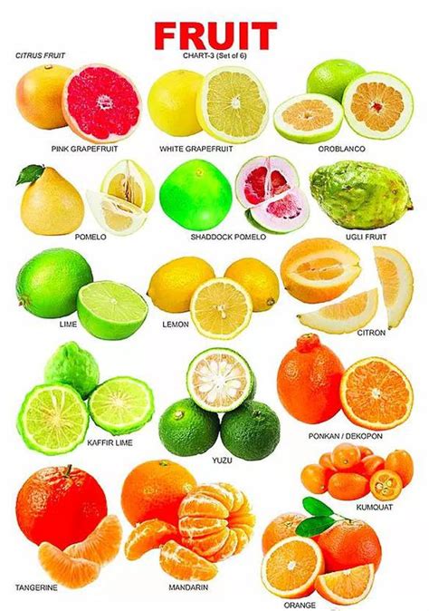 100种水果常见水果名字-皮学网