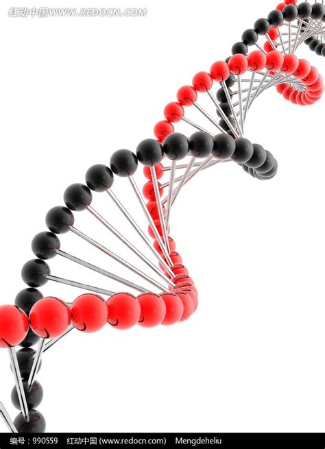 DNA双螺旋结构是怎样螺旋的？ - 知乎