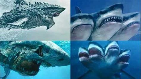 盘点：四条变异鲨鱼，哪条更恐怖？五头鲨看起来好厉害！_腾讯视频