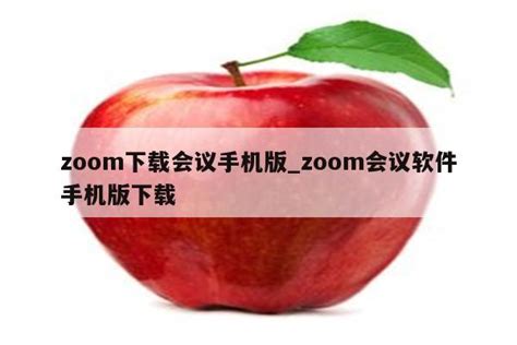 zoom官方下载会议手机版_zoom会议安卓版 - zoom相关 - APPid共享网