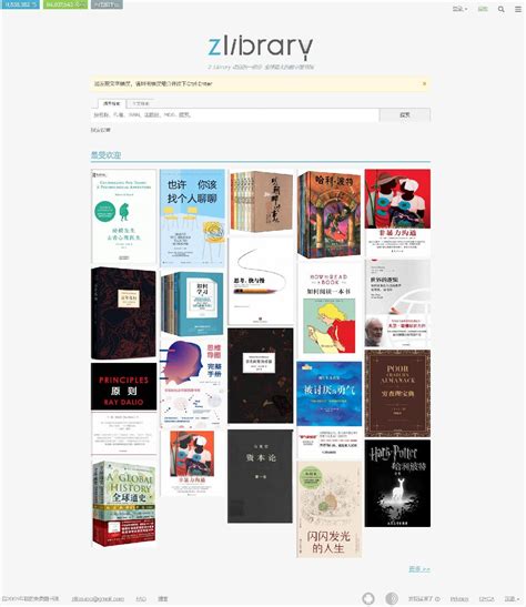 全球最大的电子书数字图书馆：ZLIBRARY-爱思链池