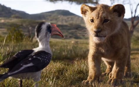 《狮子王2:辛巴的荣耀》全集-高清电影完整版-在线观看