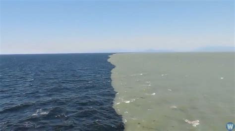 大西洋和太平洋为什么有分界线，两边海水不能融合吗？看完大开眼界