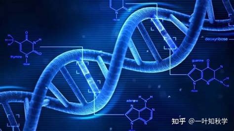 中国启动十万人基因组计划 系目前世界最大规模-新闻中心-温州网