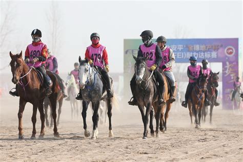 2019中国安平国际马联（FEI）耐力达标赛开赛打造马文化旅游品牌