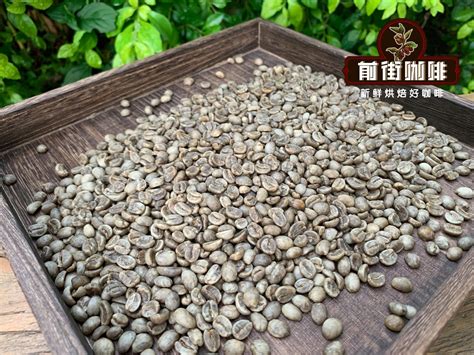 巴拿马翡翠庄园钻石山咖啡豆风味口感香气特点冲煮方法描述 中国咖啡网 08月22日更新