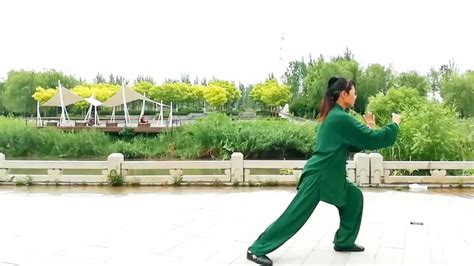 传统杨式八十五式太极拳优美太极音乐_腾讯视频